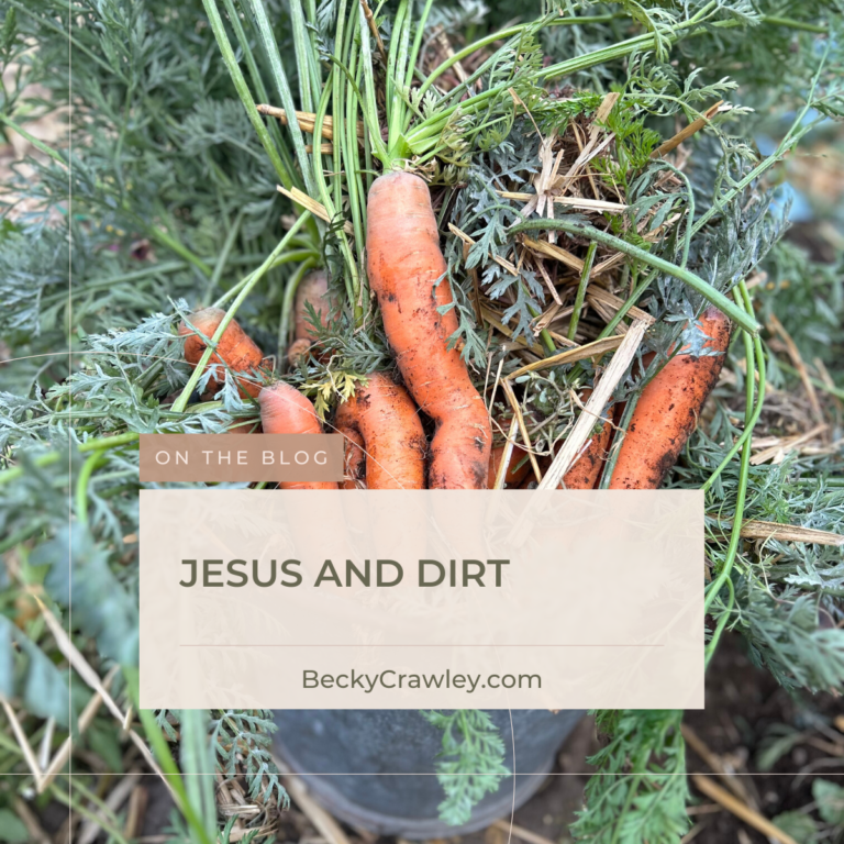 Jesus-and-dirt