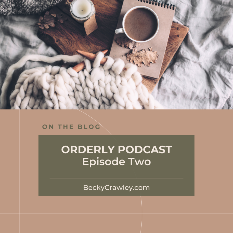 Orderly-Podcast-Episode-Two-Miss-Independent